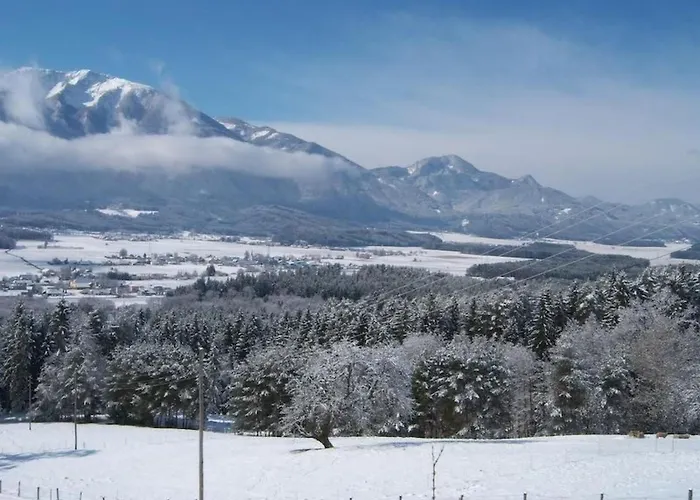 Apartament Typ 1 Im Haus Huber In By Interhome Bleiburg